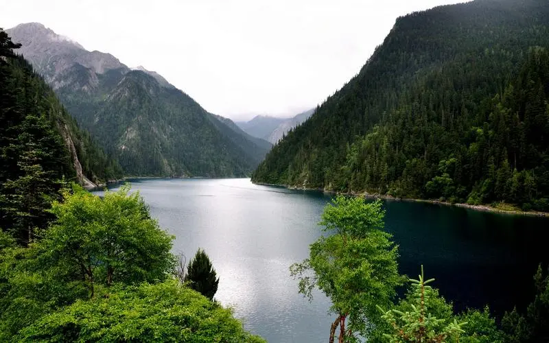 数字化数字化